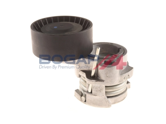 B1317103 Bogap