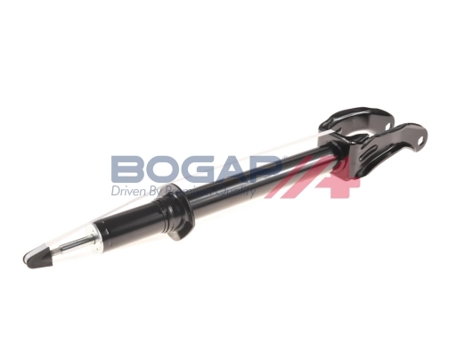 C3410110 Bogap
