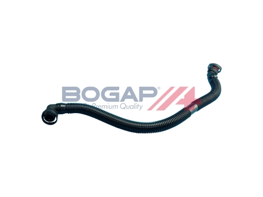 B1210114 Bogap