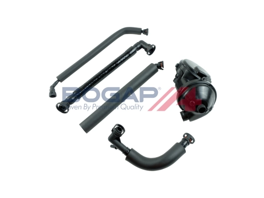 B1217106 Bogap