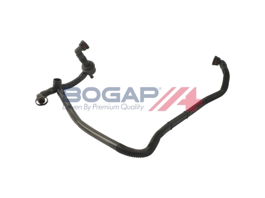 A1210117 Bogap