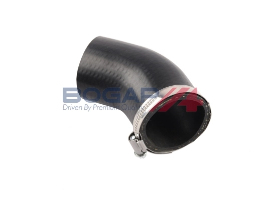 A1711171 Bogap
