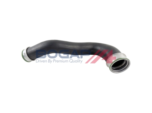 A1711296 Bogap