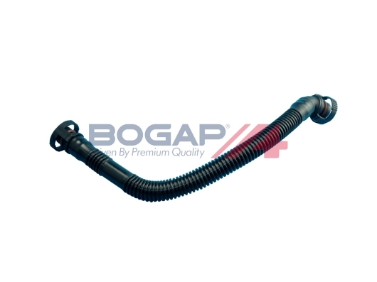 B1210120 Bogap