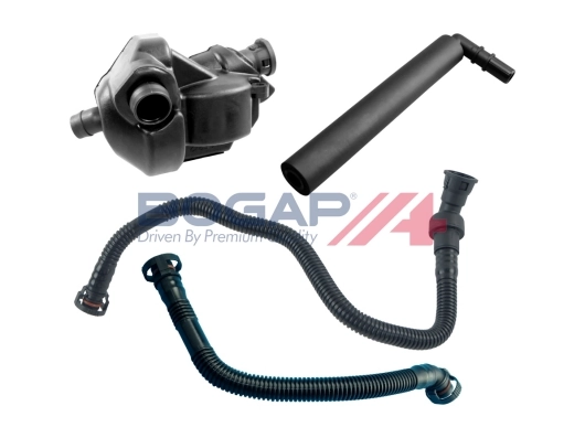 B1217110 Bogap