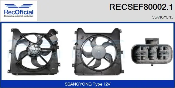 Ventilador elétrico de esfriamento montado (motor + roda de aletas) SsangYong Actyon  QJ ao melhor preço