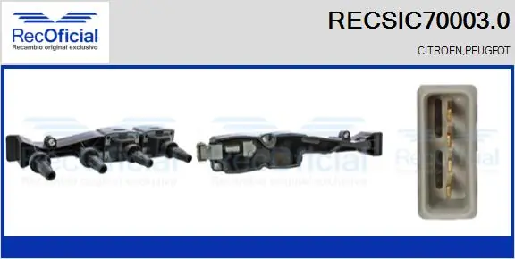 Comprar  307  3B
