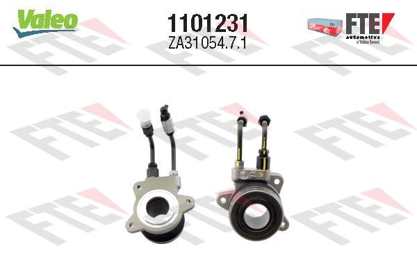 1101231 FTE