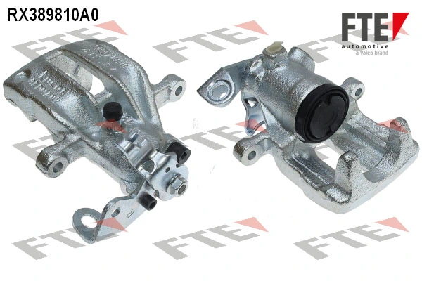 RX389810A0 FTE