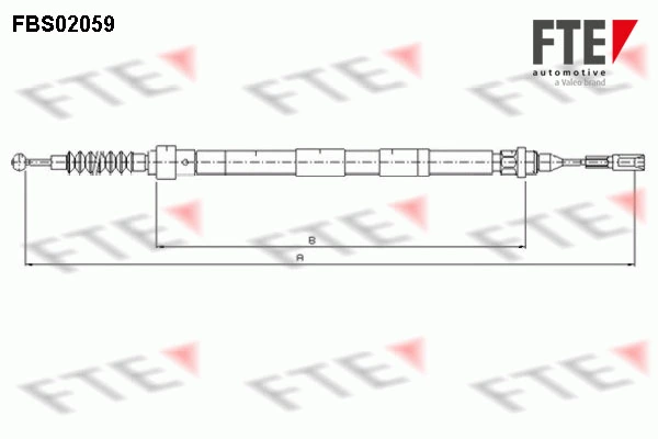 9250062 FTE