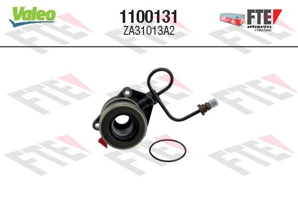 1100131 FTE