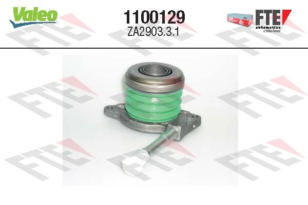 1100129 FTE