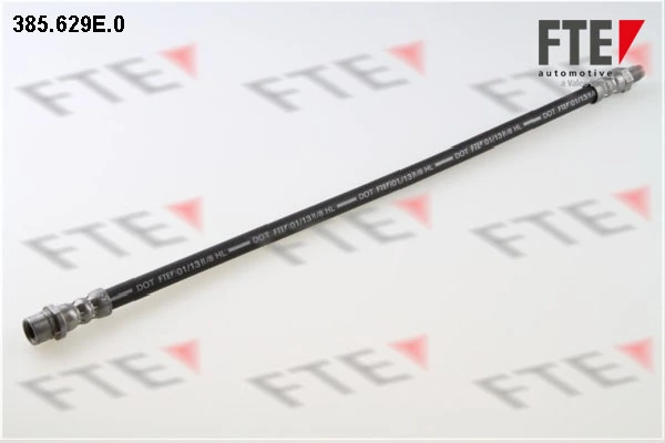 385629E0 FTE