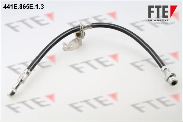 441E865E13 FTE