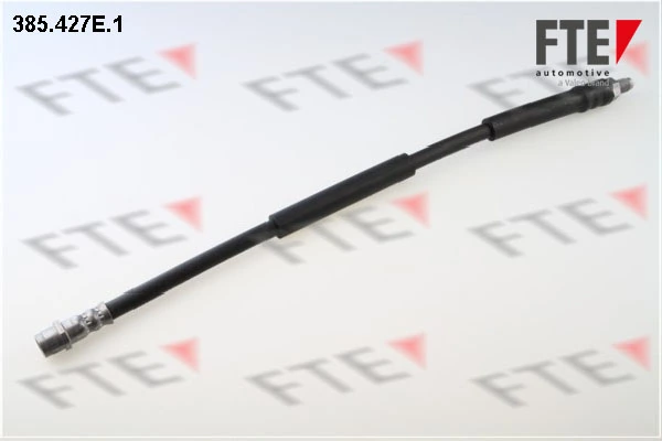 385427E1 FTE