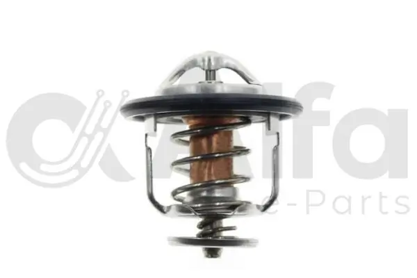  Master II сaixa (2003-2010) original desde 21,32 €