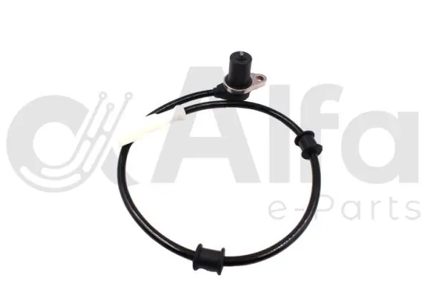 Comprar  Kadett  35, 36, 45, 46