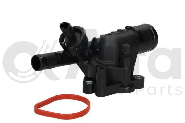 Comprar  Master III FV
