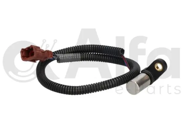  para Nissan Primera  (P12)