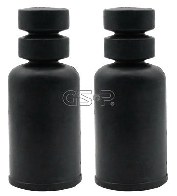 5406290PK GSP
