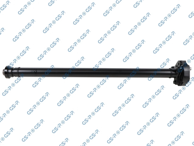 PS900149 GSP