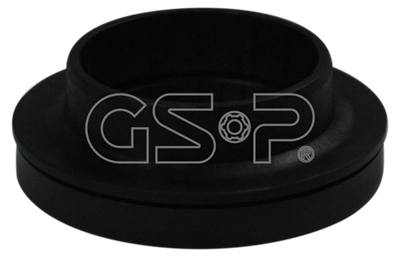 532573 GSP