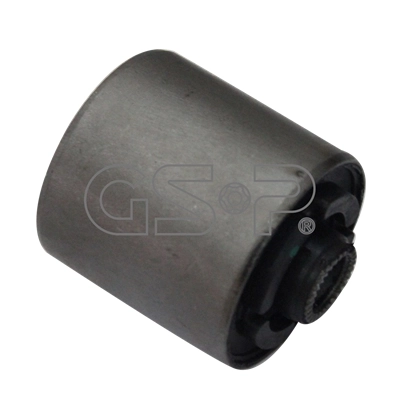 516313 GSP