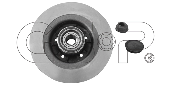 Compre Disco do freio traseiro Renault Scenic 2