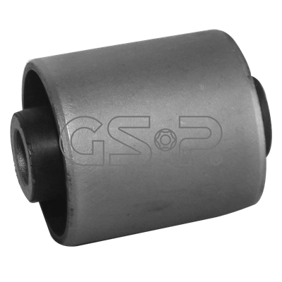 516029 GSP