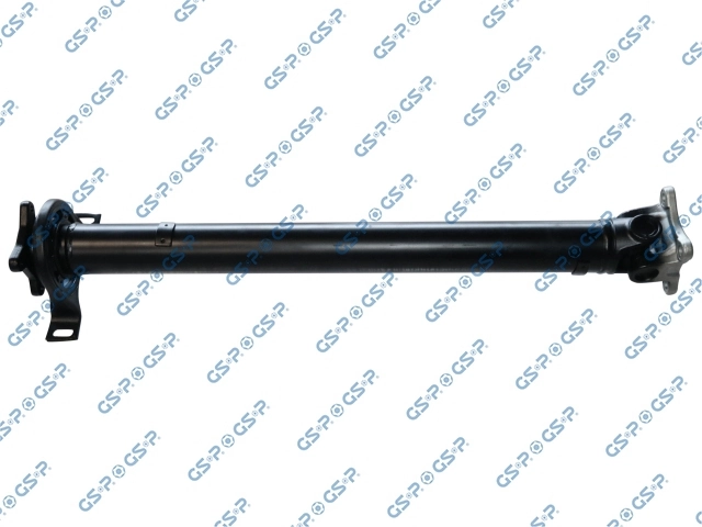 PS900609 GSP