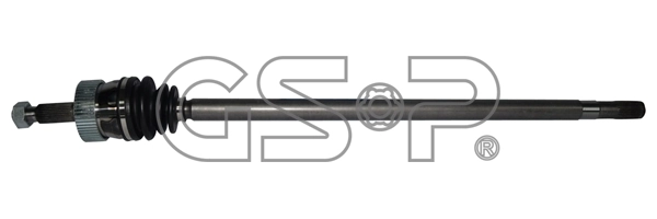 216004 GSP