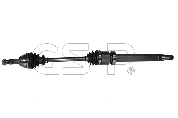 218201 GSP