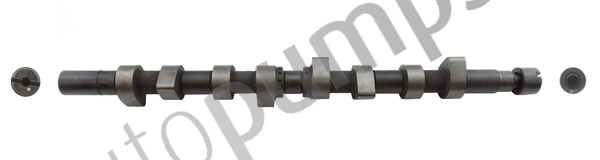 Árvore distribuidora de motor para Renault Clio SB0