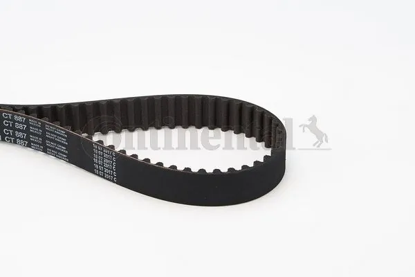 Correia do mecanismo de distribuição de gás Continental/Siemens CT887 preço, a partir de 19,44 USD