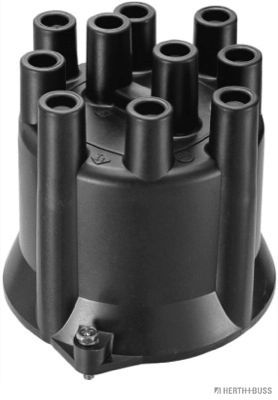 Comprar  Terrano I WD21