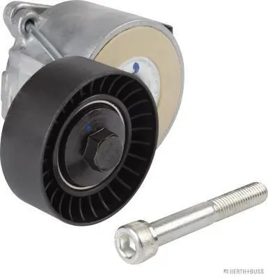 Compre 55202380 General Motors Reguladora de tensão da correia de transmissão