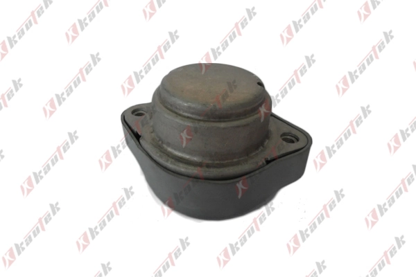 VWTM012 Kautek