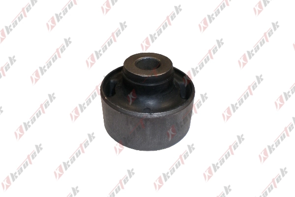 DHBS004 Kautek