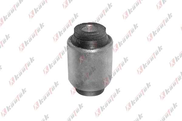 Bloco silencioso dianteiro do braço oscilante inferior Rover 25  RF