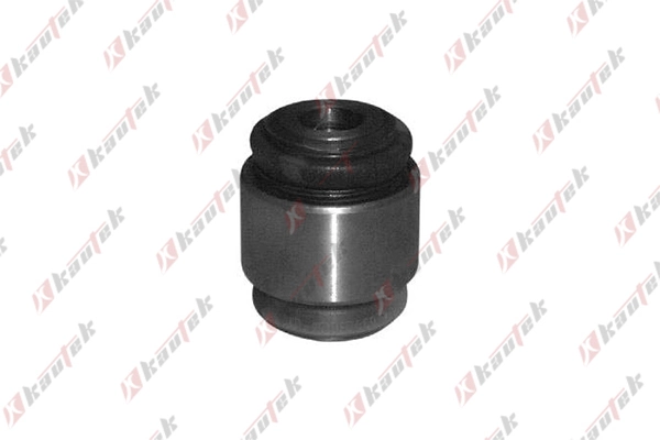 JGBS001 Kautek