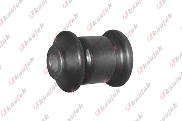 MIBS002 Kautek