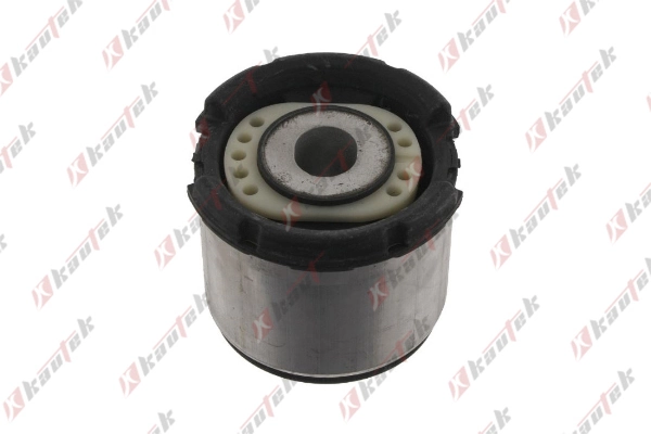 Bloco silencioso de viga traseira (de plataforma veicular) para Audi A6 C6 4F5