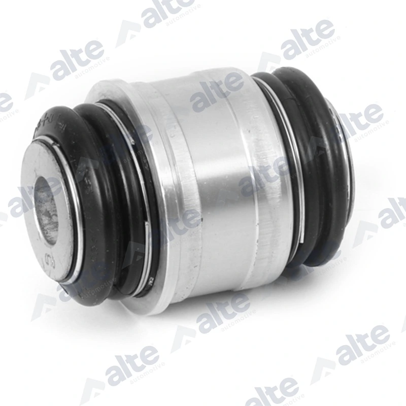 100554EAL Alte