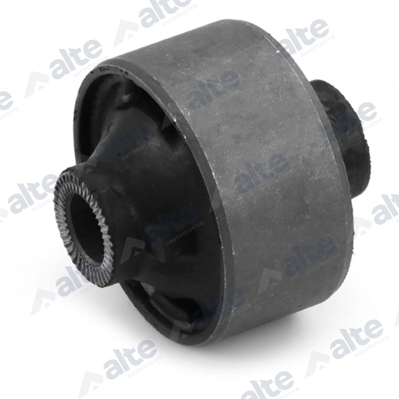 95653AL Alte