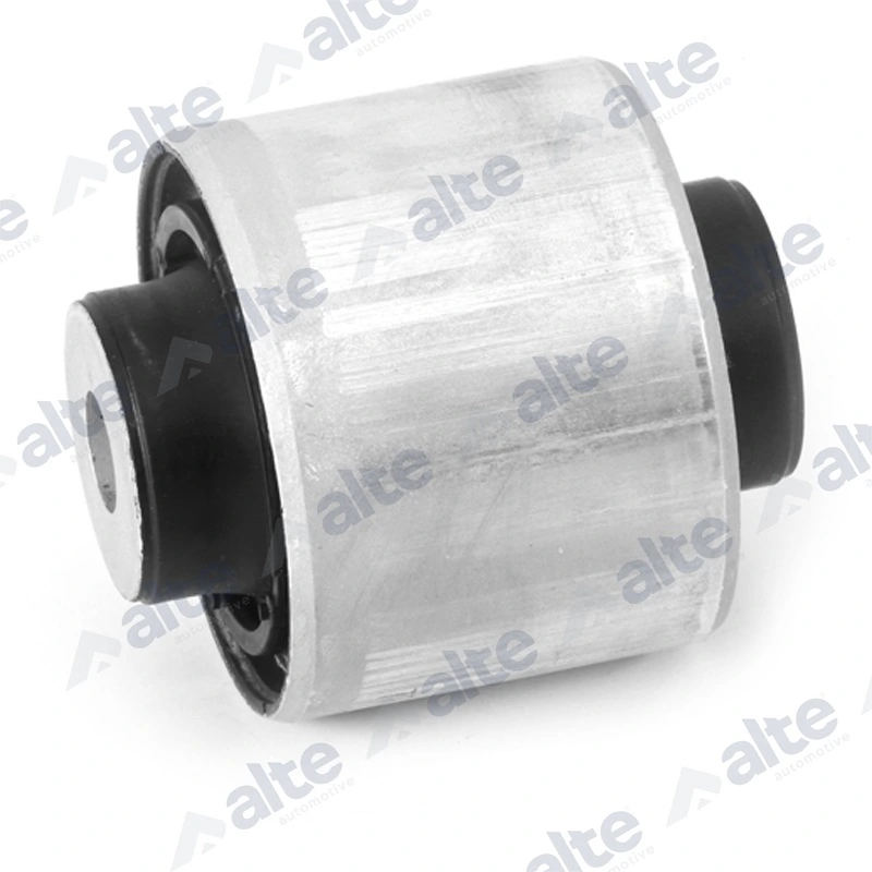100555AL Alte