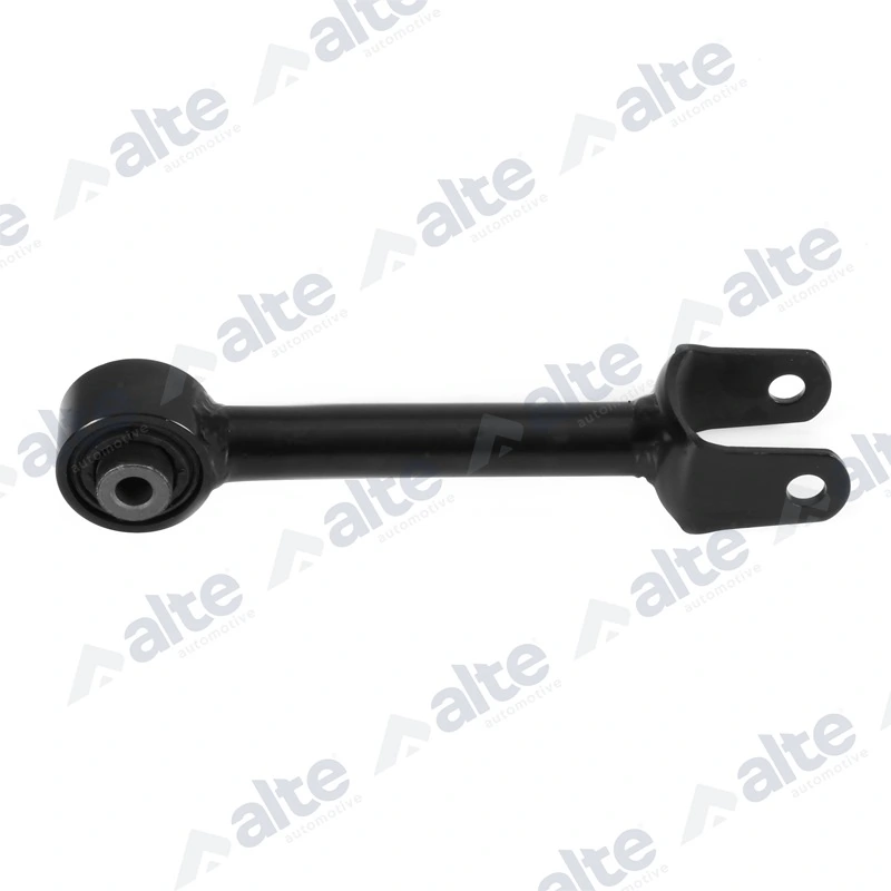 100696EAL Alte