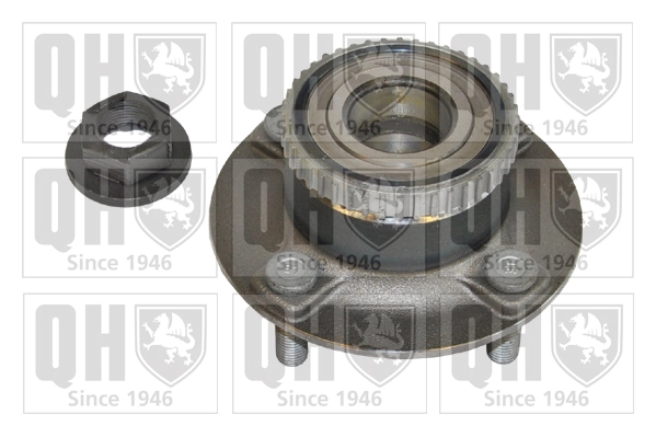 Cubo traseiro Massey Ferguson 51828507