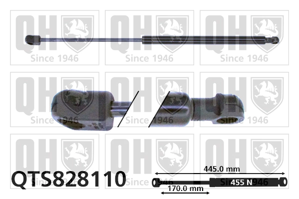 QTS828110 QUINTON HAZELL