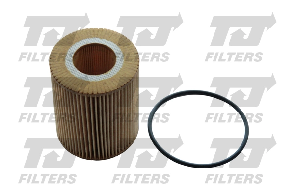  Filtro de óleo Land Rover Range Rover SPORT I SUV (L320) (2005 - 2013) SPORT I