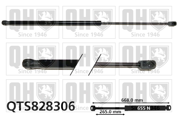 Amortecedor de tampa de porta-malas (de 3ª/5ª porta traseira) Peugeot/Citroen 1679434580